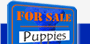American Bandogge Mastiff Puppies for Sale